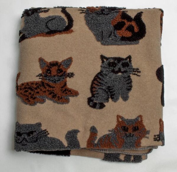plaid gatti